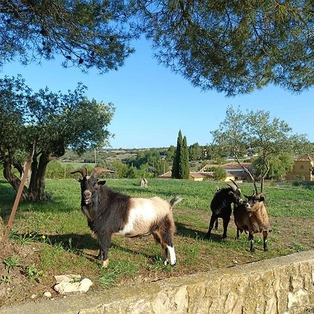 Casas Rurales La Laguna, Alpera Eksteriør bilde