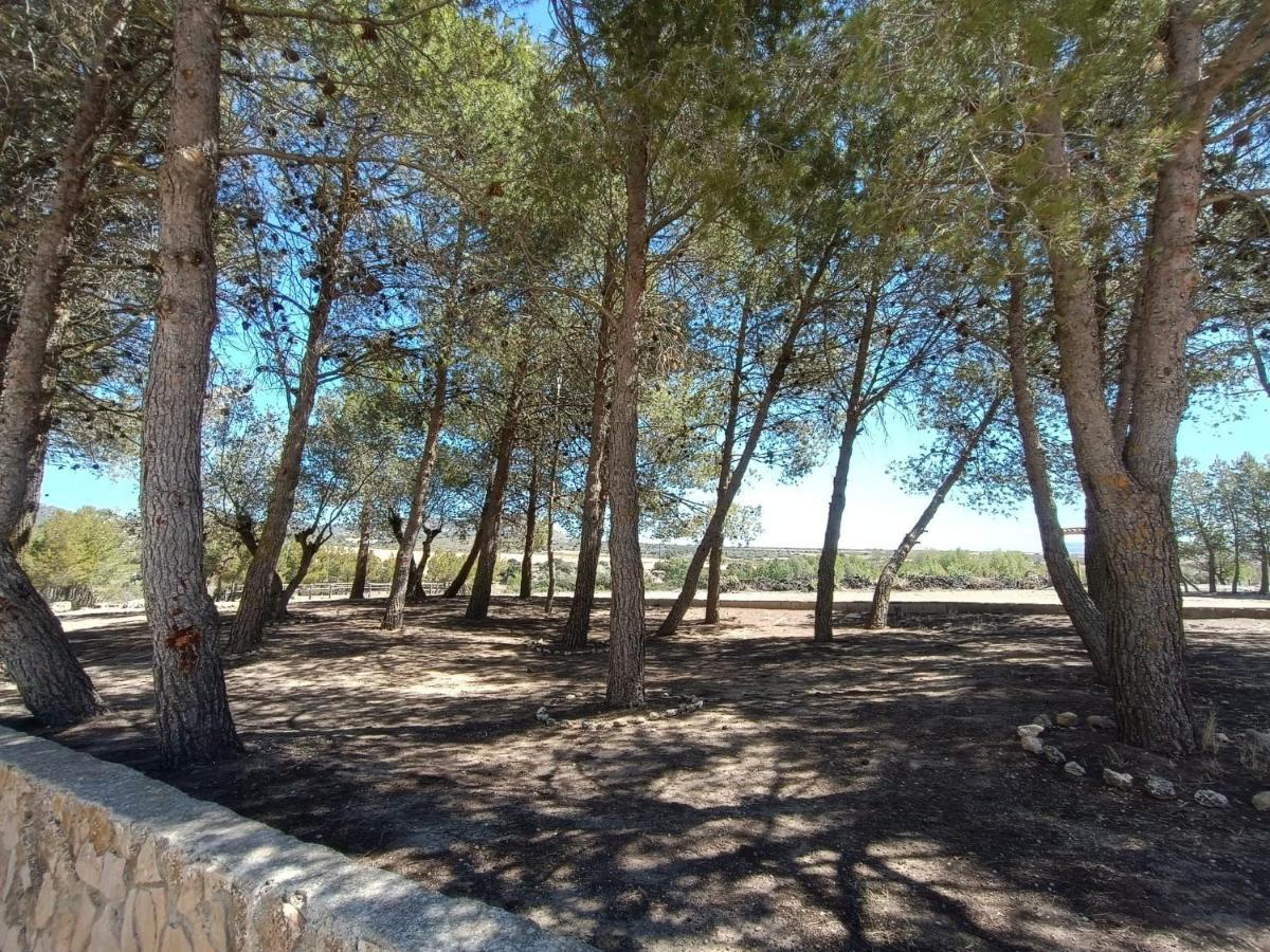 Casas Rurales La Laguna, Alpera Eksteriør bilde
