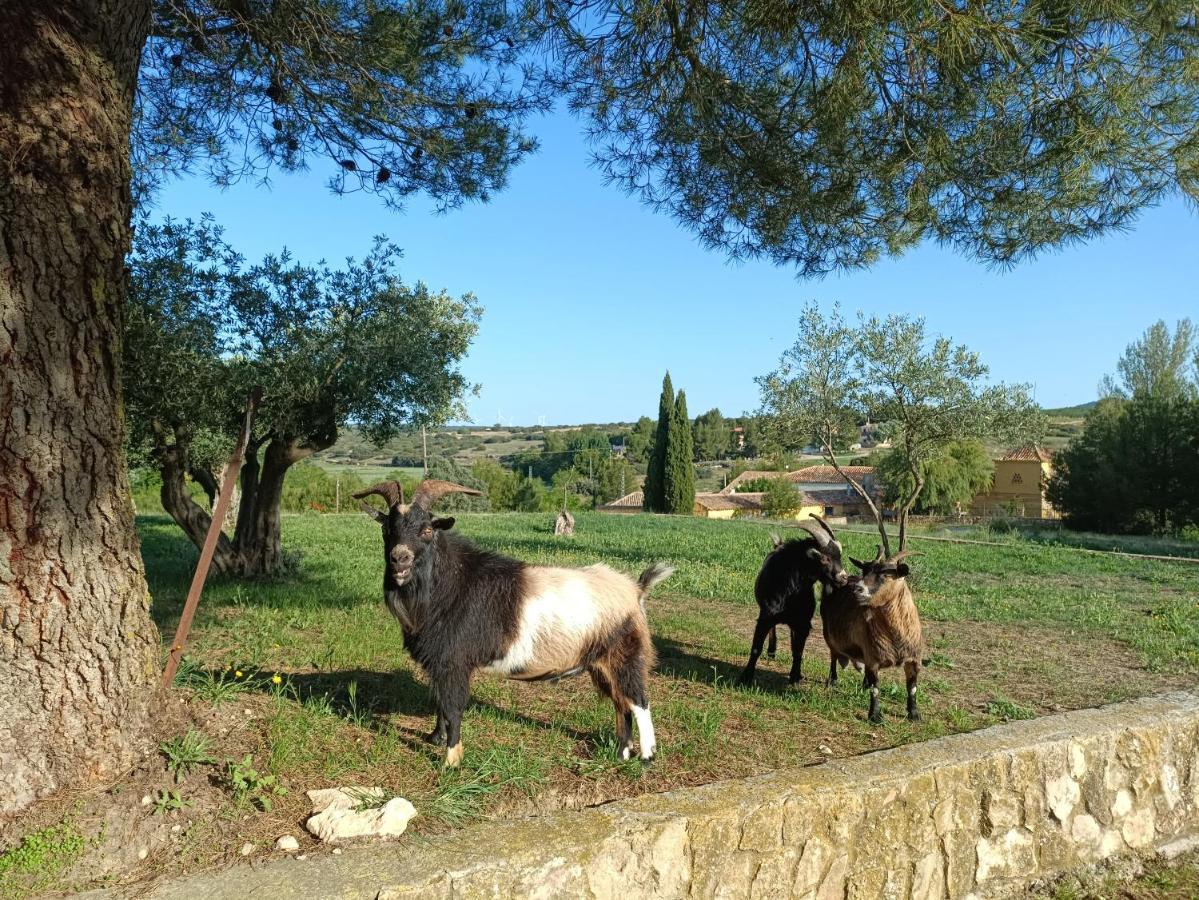 Casas Rurales La Laguna, Alpera Eksteriør bilde